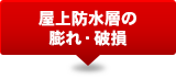 屋上防水層の膨れ・破損